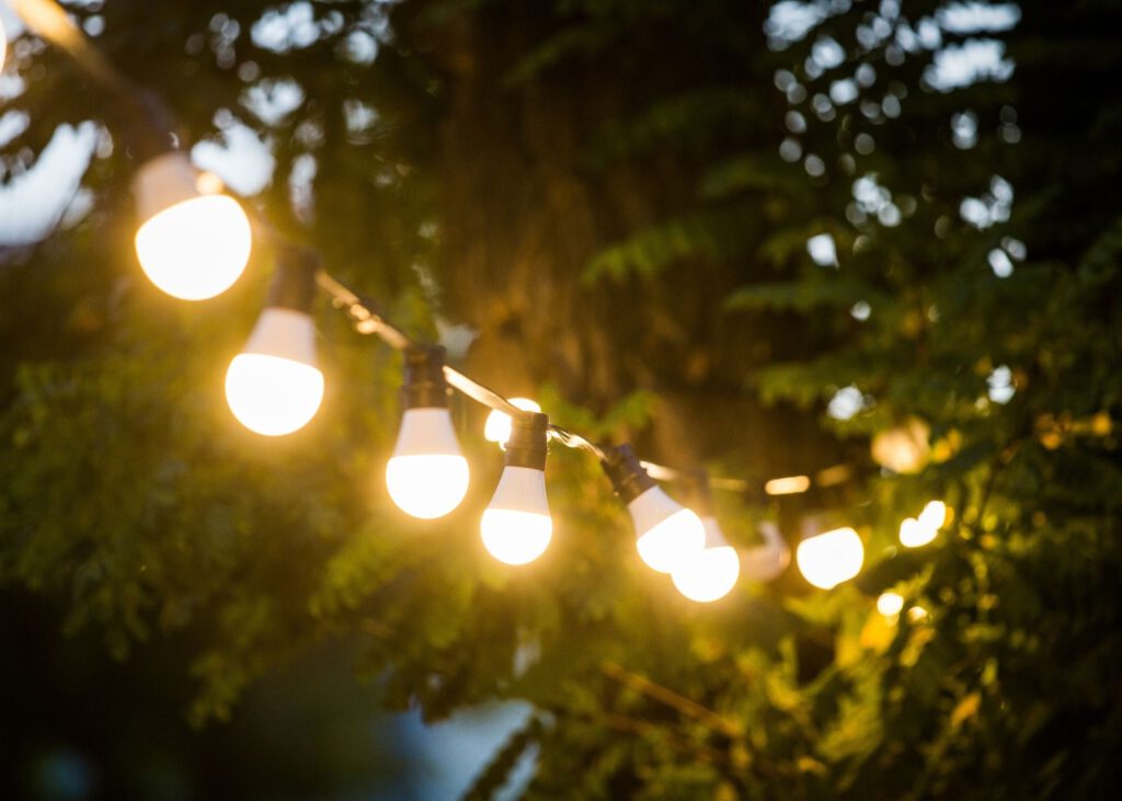 landscape lighting albany ny